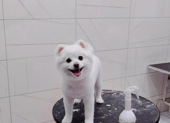 嘴唇下面为什么会长毛?(探究嘴唇下面长毛的原因和解决办法)(图2) 嘴唇下面为什么会长毛?(探究嘴唇下面长毛的原因和解决办法)(图2)