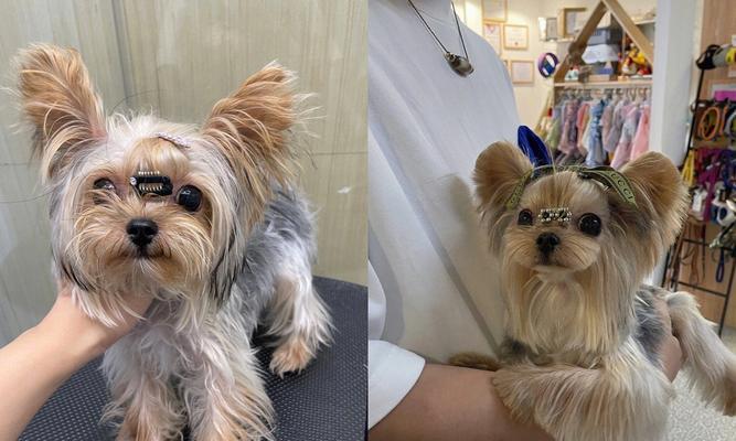 嘴唇下面为什么会长毛?(探究嘴唇下面长毛的原因和解决办法)(图3) 嘴唇下面为什么会长毛?(探究嘴唇下面长毛的原因和解决办法)(图3)