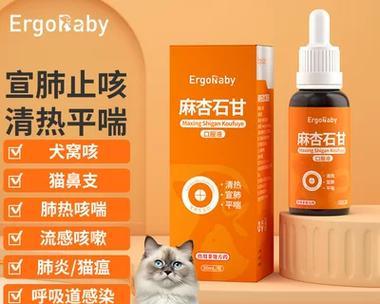 如何有效治疗感冒的狗狗？（药物治疗和其他措施）(图2)