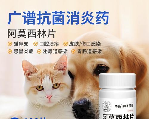 如何有效治疗感冒的狗狗？（药物治疗和其他措施） - 新生家伴