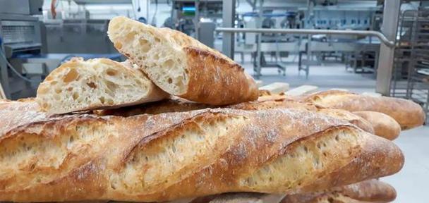 生产期间饮食保障的重要性（如何选择适合的饮食方案确保生产效率）(图3)