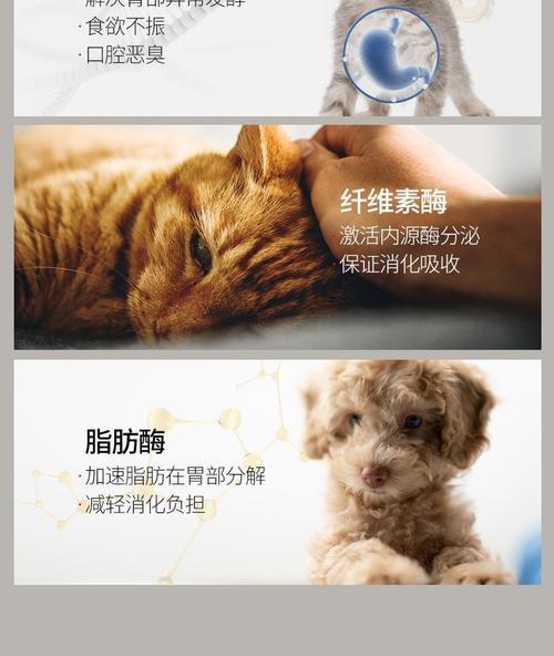 了解狗狗的肠胃宝——肠胃宝的功效与使用方法（维护狗狗健康的关键，肠胃宝！）(图3)