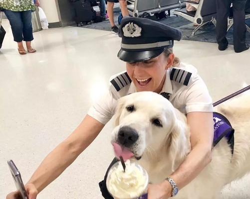 如何合法去机场接狗狗（详解接狗狗需要的手续及步骤）(图2)