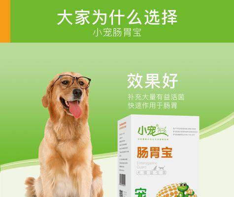 了解狗狗的肠胃宝——肠胃宝的功效与使用方法（维护狗狗健康的关键，肠胃宝！）(图2)