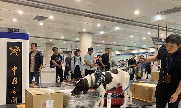 如何合法去机场接狗狗（详解接狗狗需要的手续及步骤）(图3)