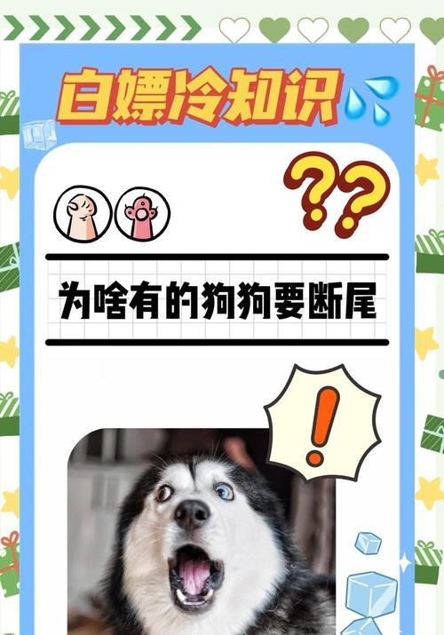 狗狗断尾的常用方法及优劣比较（选择适合狗狗的断尾方法，关爱它 - 新生家伴