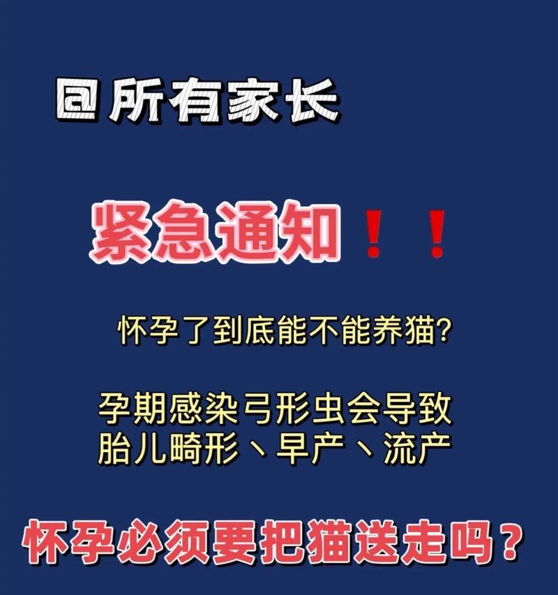 猫咪怀孕多久容易流产？（流产风险、影响因素及预防措施）(图3)