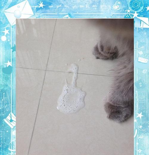 猫咪吐了没消化的猫粮，肠胃不好是原因吗？（探究猫咪吐出没消化 - 新生家伴