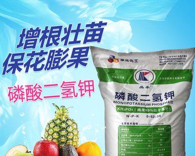 养杜高的注意事项（打造健康快乐的杜高生活） - 新生家伴