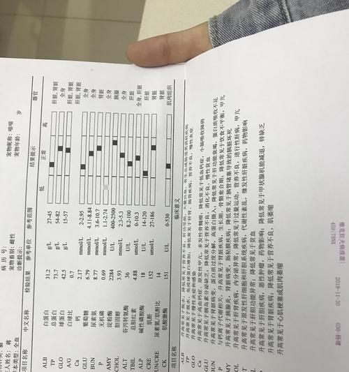 探究猫咪吐水与不进食的原因（揭秘猫咪食欲不振的背后原因与解决方法）(图2)