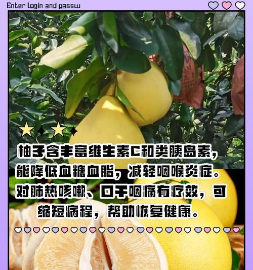 科学饮食提升皮肤免疫力（以吃什么为关键，打造健康肌肤）(图2)