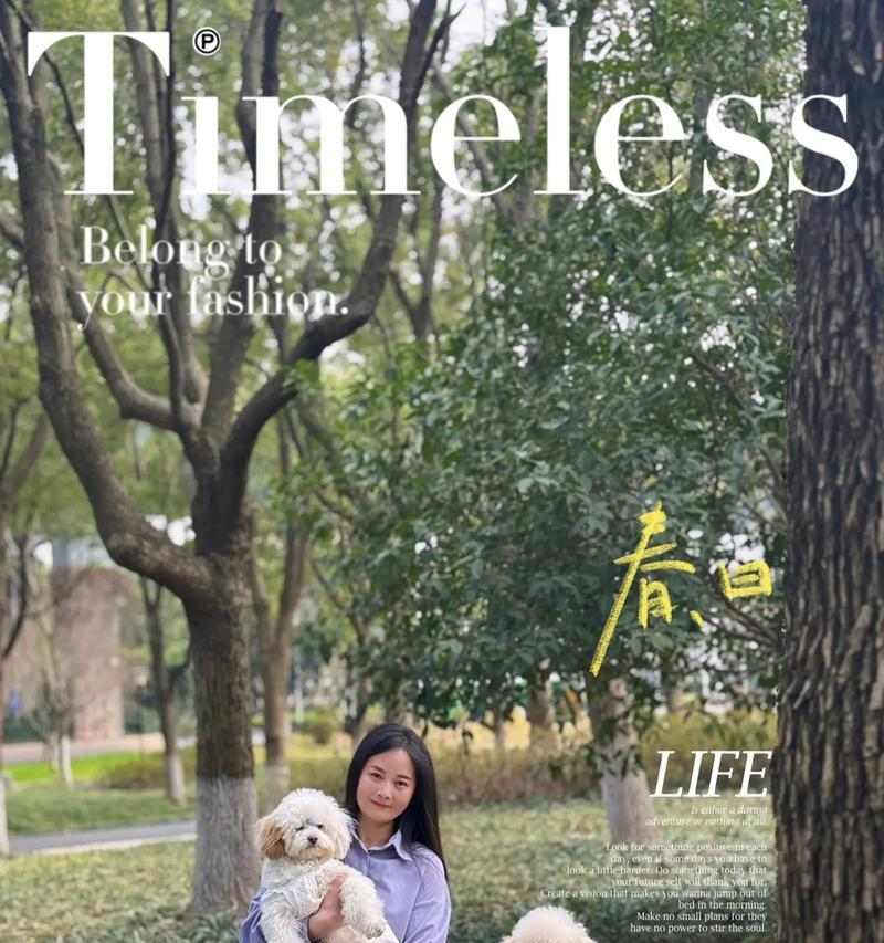 遛狗狗的重要性——增进宠物与人的感情（遛狗狗）(图3)