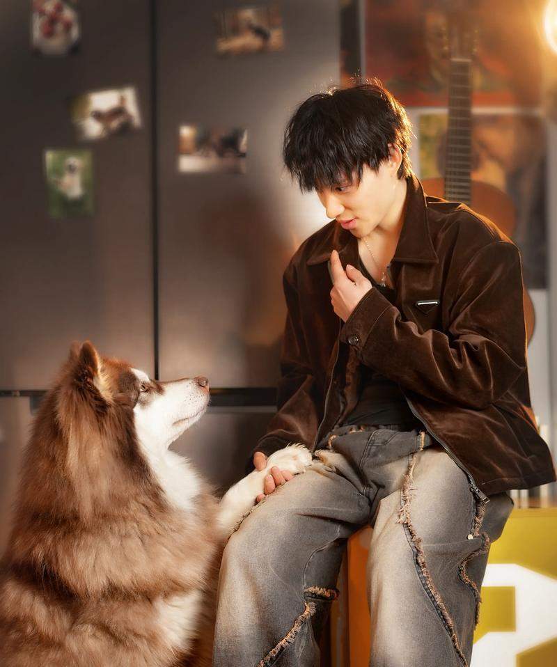 正确喂养阿拉斯加的方法与技巧（了解关键的喂养需求，给你的阿拉斯加提供健康饮食）(图2)