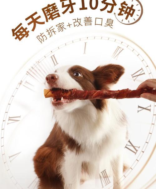 选择适合泰迪狗的磨牙棒，（给泰迪狗选择合适的磨牙棒，让它健康快乐成长）(图2)