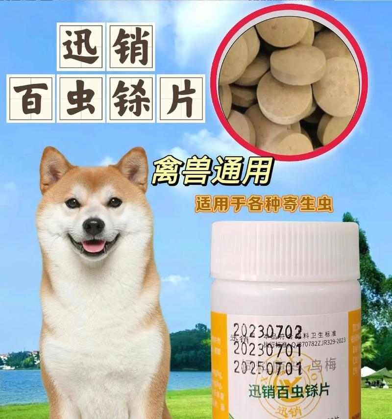 狗身上的寄生虫——潜伏在可爱外表背后的隐患（揭秘它们的种类、 - 新生家伴