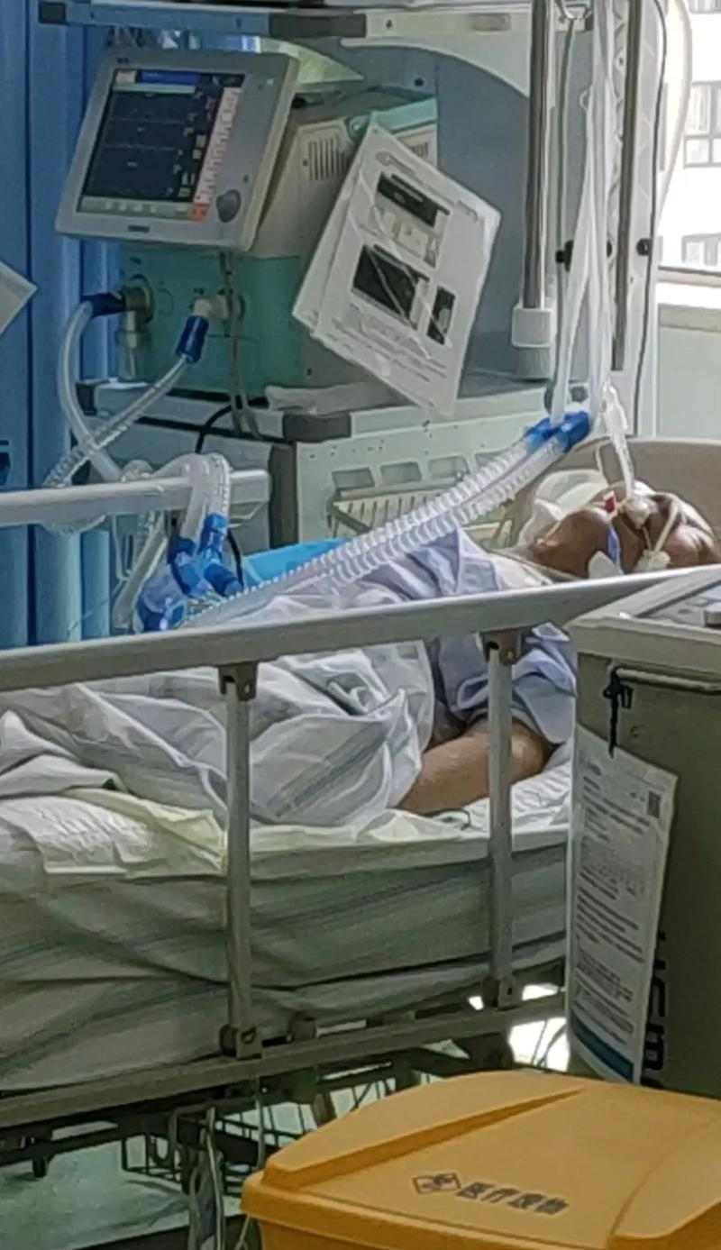 宠物生病（面对高昂的治疗费用，如何做出正确的选择） - 新生家伴