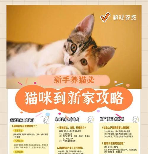 猫咪进新家需要适应多久？（探索适应新环境所需的时间和方法）(图1)