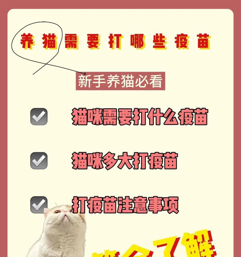 猫育苗时打针间隔及注意事项（科学养猫，合理打针——给爱猫注射疫苗的正确方法与注意事项）(图3)