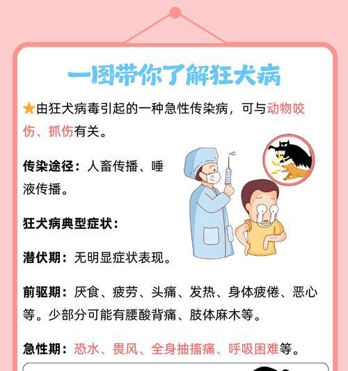 狂犬病（揭秘狂犬病对宠物寿命的影响及预防措施）(图3)