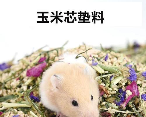 垫料的选择对养仓鼠的重要性（不同垫料的效果及如何选择合适的垫料）(图3)