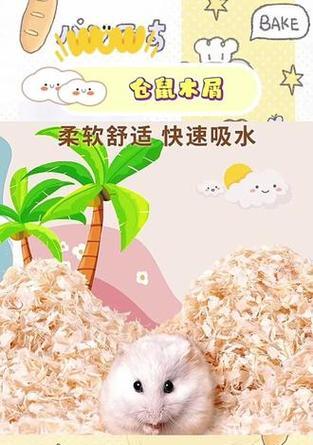 垫料的选择对养仓鼠的重要性（不同垫料的效果及如何选择合适的垫 - 新生家伴