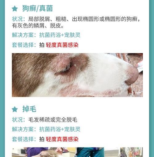 宠物药浴180一瓶（探索宠物药浴180的效果和用途，为你的宠物提供全方位的护理）(图3)