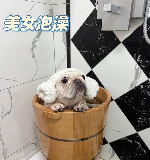 宠物药浴180一瓶（探索宠物药浴180的效果和用途，为你的宠 - 新生家伴