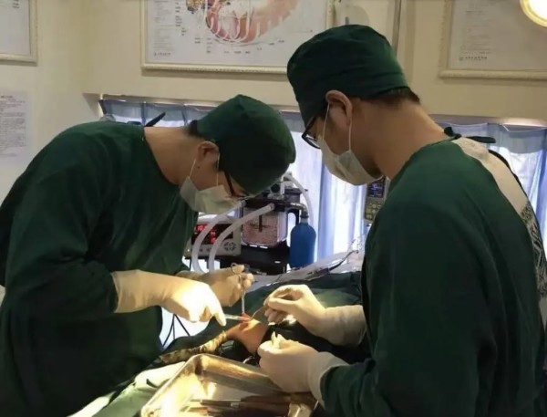 从宠物医生到人大代表：他让三四线城市也有了高品质宠物医疗服务(图3)