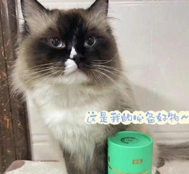 猫咪身上的细菌(探索猫咪身上的常见细菌,保护你和你的宠物的健康)(图2) 猫咪身上的细菌(探索猫咪身上的常见细菌,保护你和你的宠物的健康)(图2)