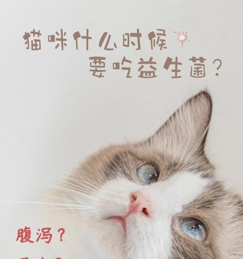 猫咪身上的细菌(探索猫咪身上的常见细菌,保护你和你的宠物的健康)(图3) 猫咪身上的细菌(探索猫咪身上的常见细菌,保护你和你的宠物的健康)(图3)