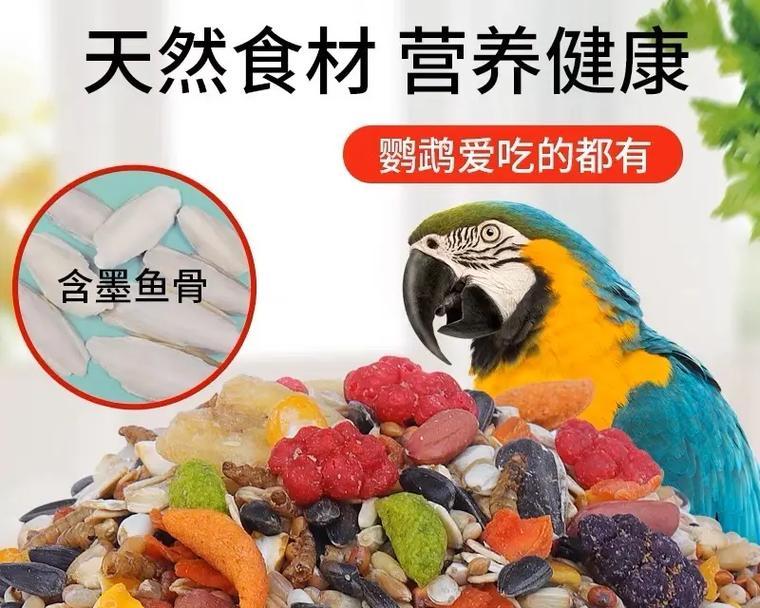 鹦鹉的食物特点与饲养方法(了解鹦鹉的食性,让你成为贴心的饲主)(图2) 鹦鹉的食物特点与饲养方法(了解鹦鹉的食性,让你成为贴心的饲主)(图2)