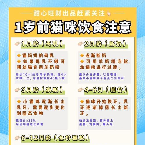 2个月幼猫的饮食需求（幼猫奶粉喂养知识全面解析）(图1)