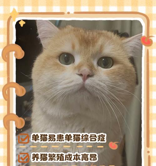 猫咪的生育周期及繁殖能力（探究猫咪的生育