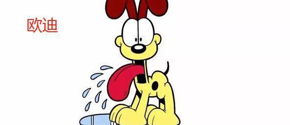 加菲猫的乖巧与调皮（了解加菲猫） - 新生家伴