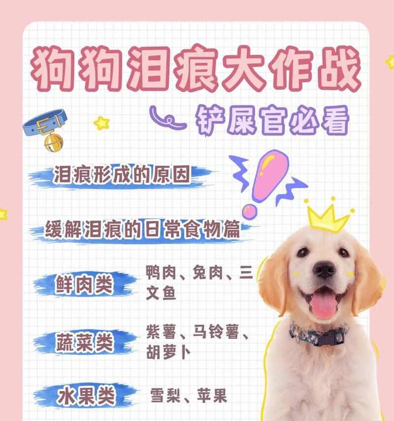 狗狗术后的饮食护理(选择合适的饮食方案来促进狗狗康复)(图2) 狗狗术后的饮食护理(选择合适的饮食方案来促进狗狗康复)(图2)