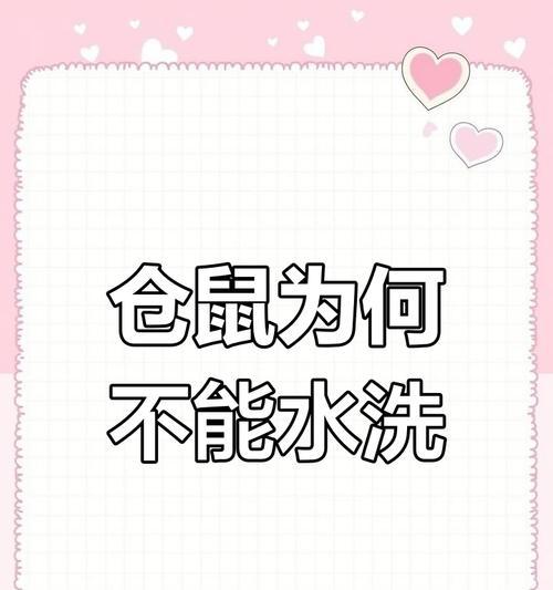仓鼠洗澡的频率与注意事项（养仓鼠必读，它们的洗澡习惯与健康需求） - 新生家伴