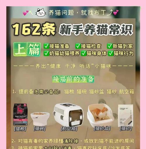 新手养猫的注意事项（为你的新成员提供最佳照顾） - 新生家伴