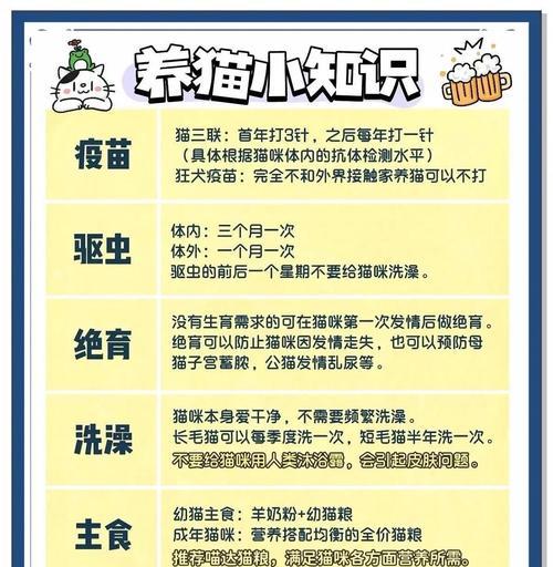 新手养猫的注意事项（为你的新成员提供最佳照顾）(图3)
