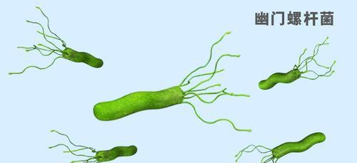 小狗呕吐物为何常呈绿色?(解析小狗呕吐物颜色的原因及健康提示)(图3) 小狗呕吐物为何常呈绿色?(解析小狗呕吐物颜色的原因及健康提示)(图3)