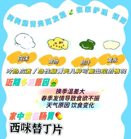 小狗呕吐的常见原因（了解呕吐背后的健康问题，保护宠物的幸福生活）(图3)