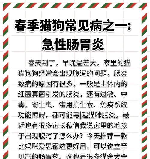 狗狗胃炎的饮食注意事项(以吃什么吐什么为原则,给狗狗更好的护理)(图2) 狗狗胃炎的饮食注意事项(以吃什么吐什么为原则,给狗狗更好的护理)(图2)