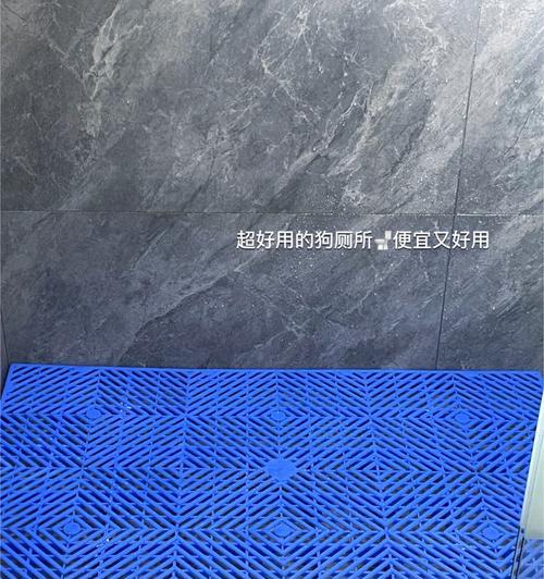 拉布拉多清洗秘籍（掌握正确方法，让你的拉布拉多宠物清洗无忧）(图2)