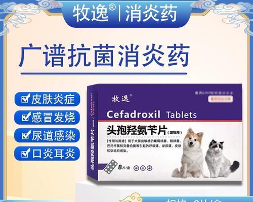 猫咪外伤消炎,照顾小猫咪健康的必备知识(详解如何正确处理猫咪外伤,保护它们的健康与幸福)(图3) 猫咪外伤消炎,照顾小猫咪健康的必备知识(详解如何正确处理猫咪外伤,保护它们的健康与幸福)(图3)