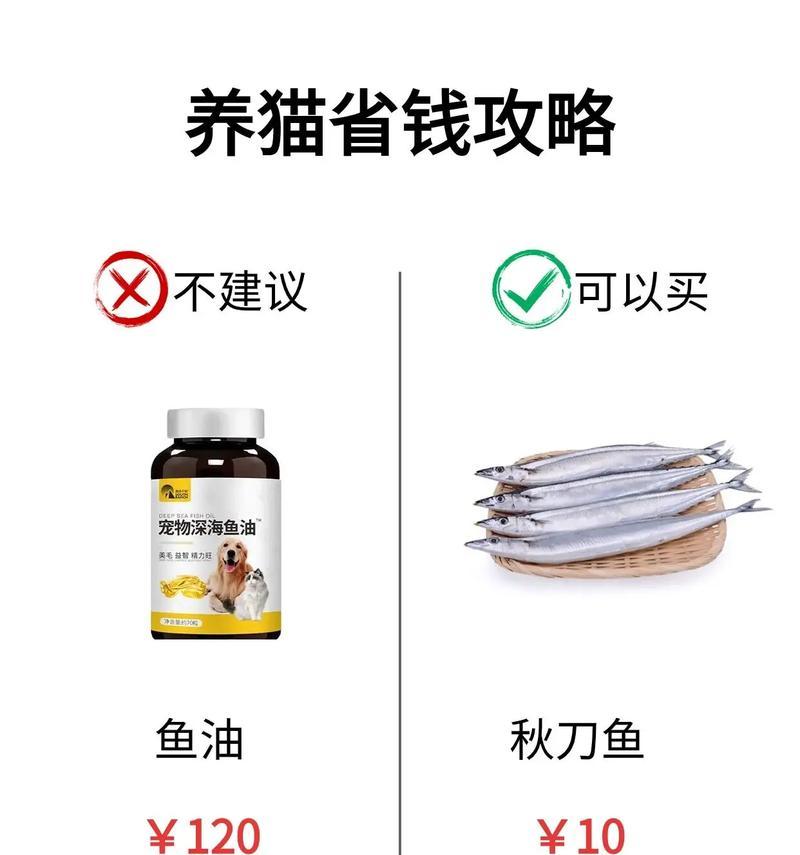 猫营养不良的症状及饮食调理方法(图1) 猫营养不良的症状及饮食调理方法(图1)