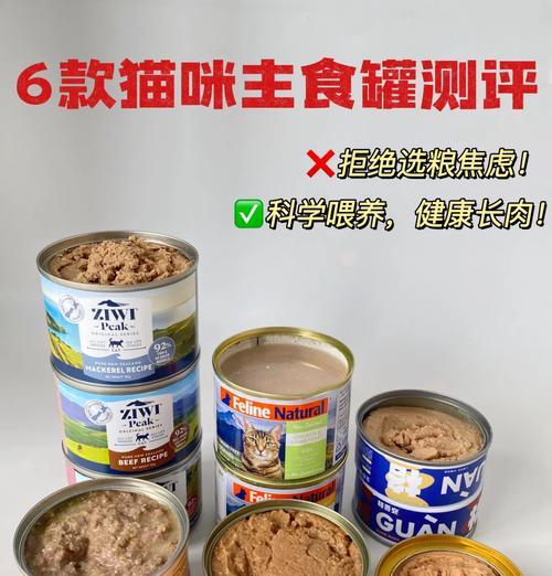 猫营养不良的症状及饮食调理方法(图3) 猫营养不良的症状及饮食调理方法(图3)