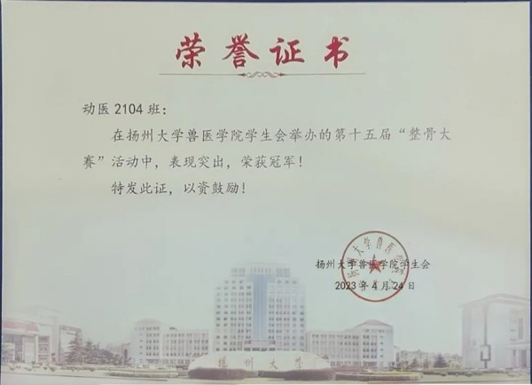 赛学双优‼️这个团队全员保研(图9)