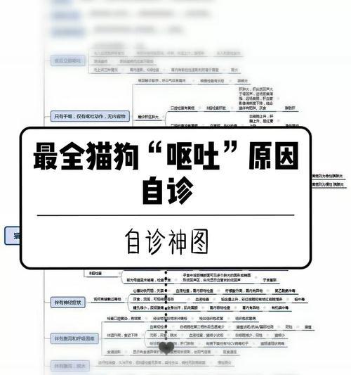 揭秘猫咪呕吐的原因（探究猫咪呕吐的种种情况与解决方法）(图3)