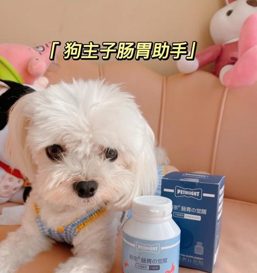 大狗生完吃点什么东西怎么办？（为你的宠物提供适当的饮食和护理）(图2)