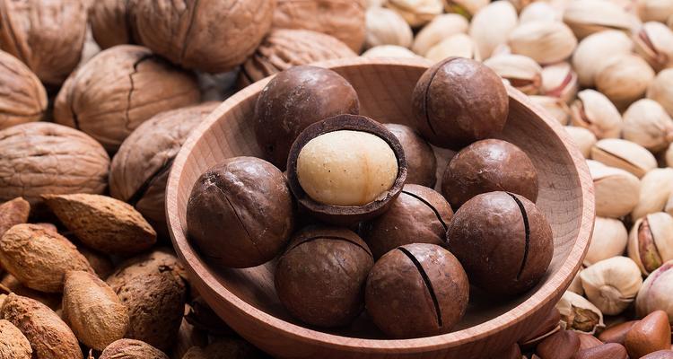 大狗生完吃点什么东西怎么办？（为你的宠物提供适当的饮食和护理）(图3)