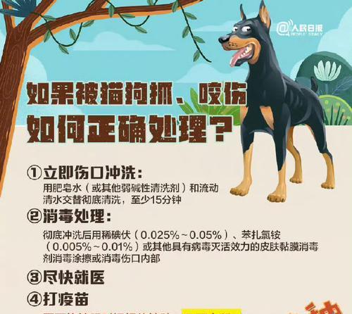 狗狗疫苗接种指南（打疫苗前后应注意的重要手续）(图3)